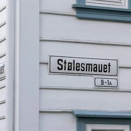 Vakantiehuis Dinbnb L Traditional Bergenhouse L Roofterrace L 1900 Charm Bergen
